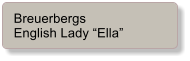 Breuerbergs English Lady “Ella”