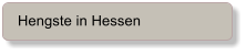 Hengste in Hessen